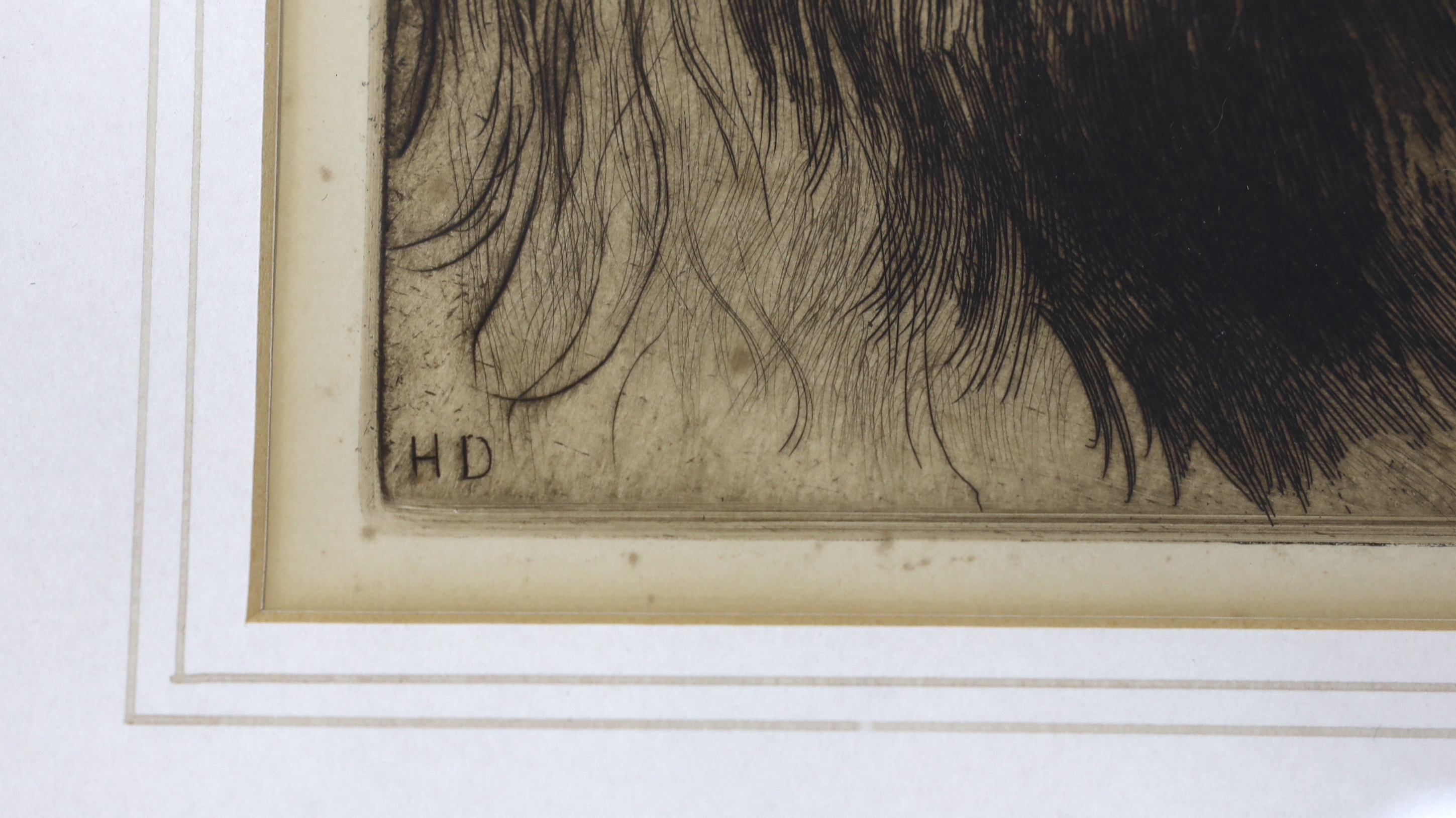 Herbert Dicksee (1862-1942), etching, Head of a Lion, 29 x 21cm